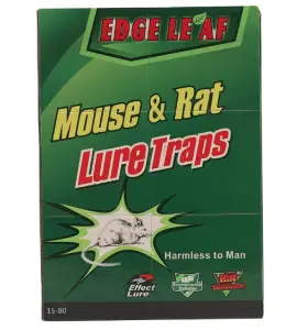 Rat Book
