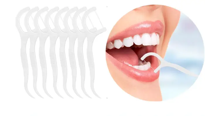 Dental Floss Picks,