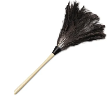 Feather Duster